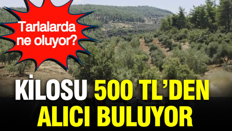 haber-gorseli-1787058041582